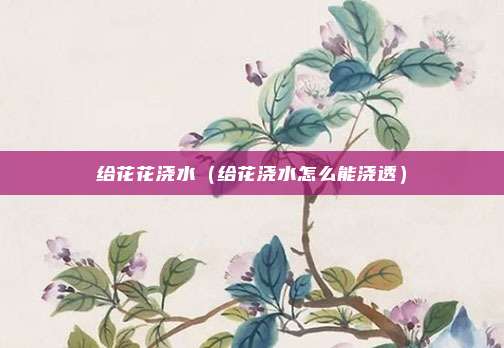 给花花浇水（给花浇水怎么能浇透）