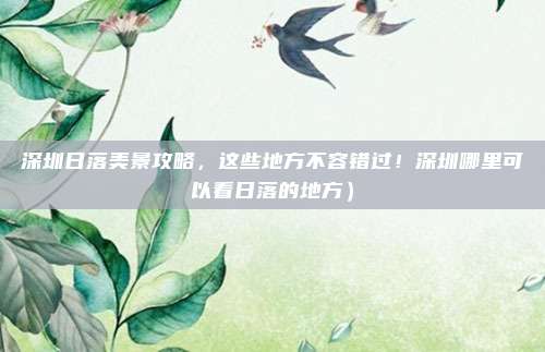 深圳日落美景攻略,这些地方不容错过!深圳哪里可以看日落的地方)
