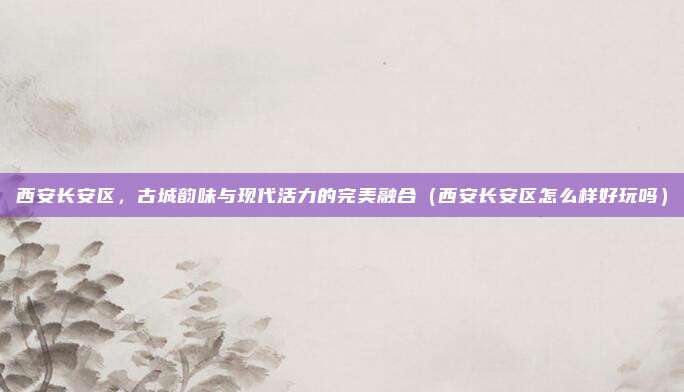 西安长安区,古城韵味与现代活力的完美融合(西安长安区怎么样好玩吗)