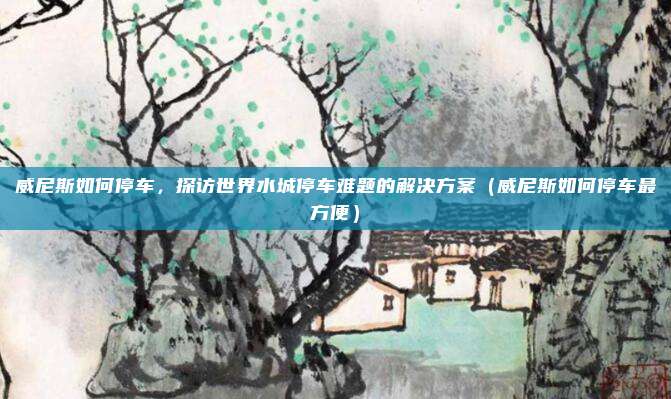 威尼斯如何停车,探访世界水城停车难题的解决方案(威尼斯如何停车最方便)