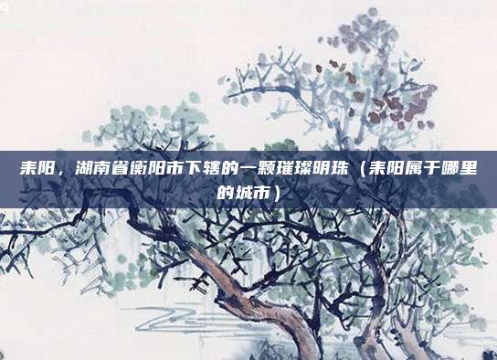 耒阳,湖南省衡阳市下辖的一颗璀璨明珠(耒阳属于哪里的城市)
