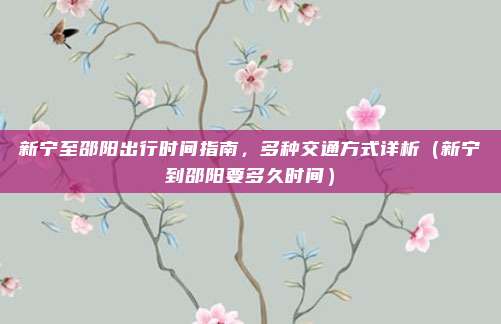 新宁至邵阳出行时间指南,多种交通方式详析(新宁到邵阳要多久时间)