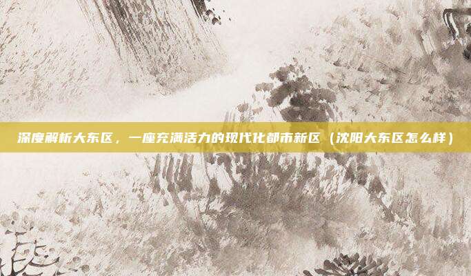 深度解析大东区，一座充满活力的现代化都市新区（沈阳大东区怎么样）