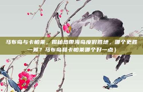 马布岛与卡帕莱,揭秘热带海岛度假胜地,哪个更胜一筹?马布岛和卡帕莱哪个好一点)