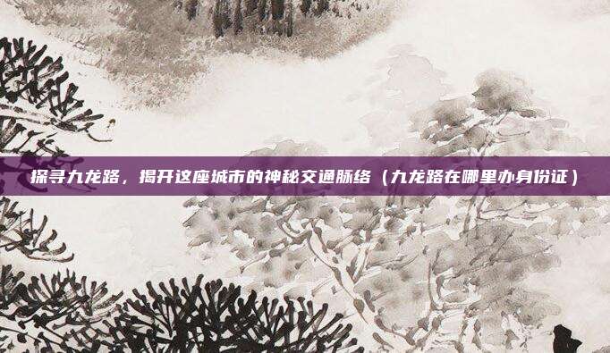 探寻九龙路,揭开这座城市的神秘交通脉络(九龙路在哪里办身份证)