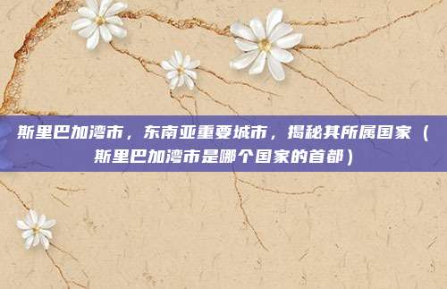 斯里巴加湾市，东南亚重要城市，揭秘其所属国家（斯里巴加湾市是哪个国家的首都）