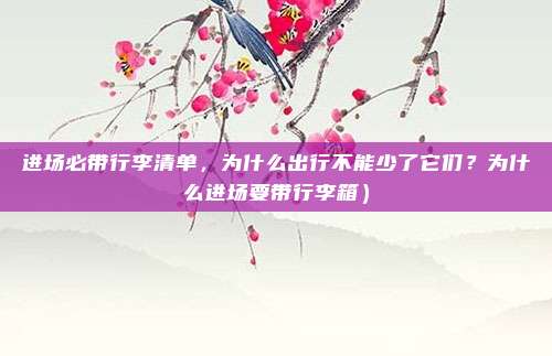 进场必带行李清单,为什么出行不能少了它们?为什么进场要带行李箱)