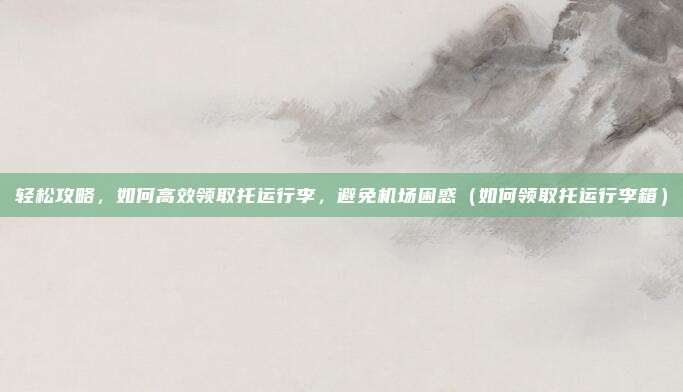 轻松攻略,如何高效领取托运行李,避免机场困惑(如何领取托运行李箱)