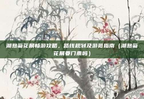 湖熟菊花展畅游攻略,路线规划及游览指南(湖熟菊花展要门票吗)
