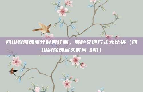 四川到深圳旅行时间详解，多种交通方式大比拼（四川到深圳多久时间飞机）