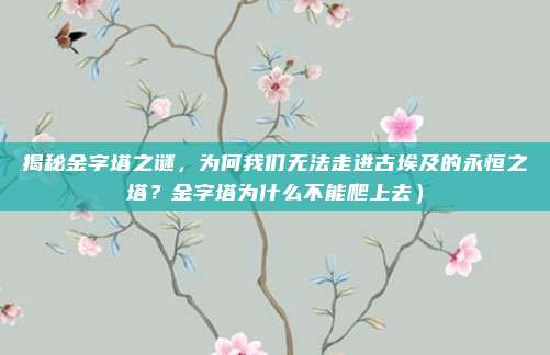 揭秘金字塔之谜,为何我们无法走进古埃及的永恒之塔?金字塔为什么不能爬上去)
