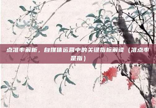 点准率解析,自媒体运营中的关键指标解读(准点率是指)