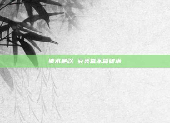 碳水是啥 豆类算不算碳水