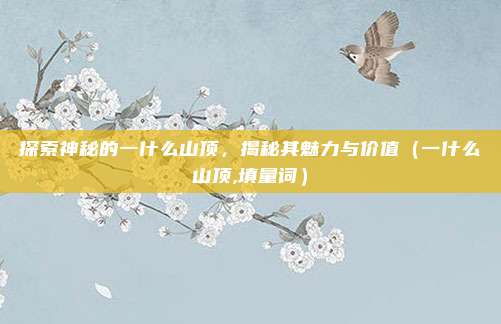 探索神秘的一什么山顶，揭秘其魅力与价值（一什么山顶,填量词）