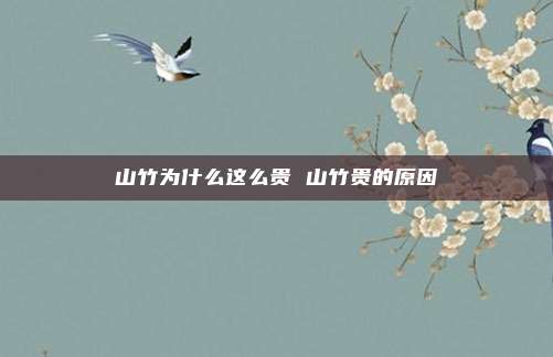 山竹为什么这么贵 山竹贵的原因
