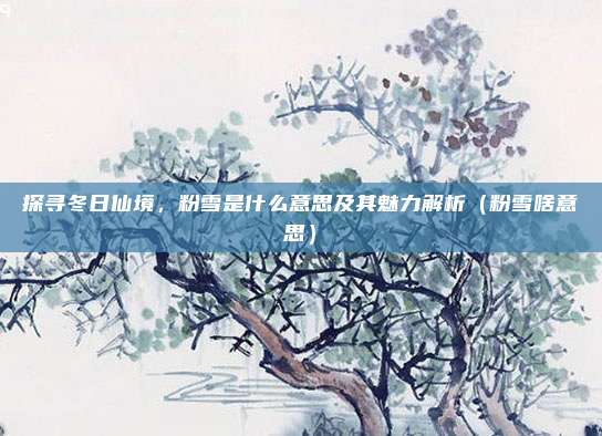 探寻冬日仙境,粉雪是什么意思及其魅力解析(粉雪啥意思)