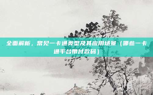 全面解析,常见一卡通类型及其应用场景(哪些一卡通平台带付款码)