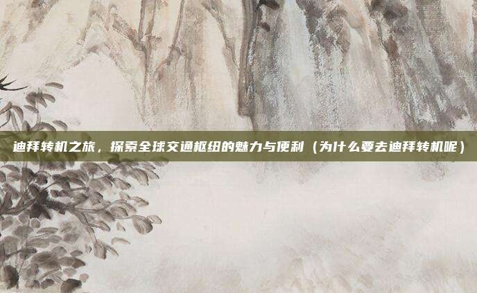 迪拜转机之旅,探索全球交通枢纽的魅力与便利(为什么要去迪拜转机呢)