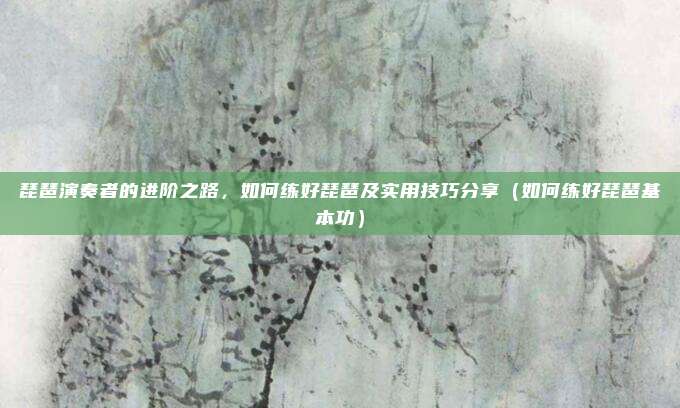 琵琶演奏者的进阶之路,如何练好琵琶及实用技巧分享(如何练好琵琶基本功)