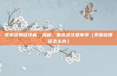 美国结婚证详解,流程、要求及注意事项(美国结婚证怎么办)