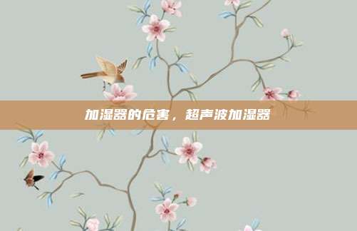 加湿器的危害,超声波加湿器