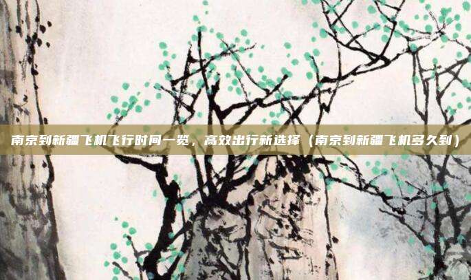 南京到新疆飞机飞行时间一览,高效出行新选择(南京到新疆飞机多久到)