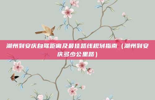 湖州到安庆自驾距离及最佳路线规划指南(湖州到安庆多少公里路)