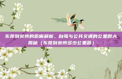 东莞到泉州的距离解析,自驾与公共交通的公里数大揭秘(东莞到泉州多少公里路)