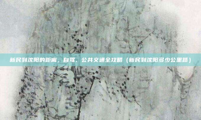 新民到沈阳的距离,自驾、公共交通全攻略(新民到沈阳多少公里路)