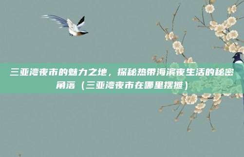 三亚湾夜市的魅力之地,探秘热带海滨夜生活的秘密角落(三亚湾夜市在哪里摆摊)