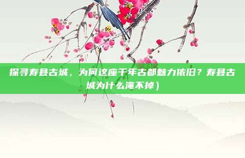 探寻寿县古城,为何这座千年古都魅力依旧?寿县古城为什么淹不掉)