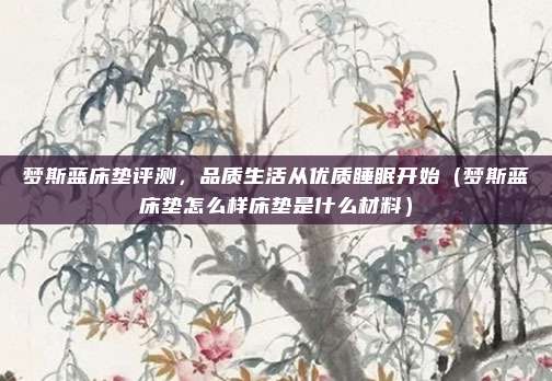 梦斯蓝床垫评测,品质生活从优质睡眠开始(梦斯蓝床垫怎么样床垫是什么材料)
