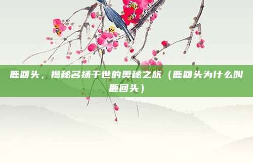 鹿回头,揭秘名扬于世的奥秘之旅(鹿回头为什么叫鹿回头)