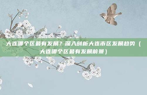 大连哪个区最有发展？深入剖析大连市区发展趋势（大连哪个区最有发展前景）