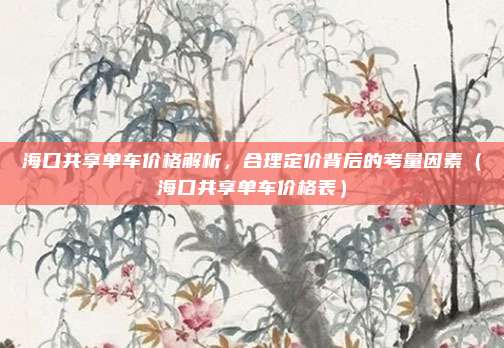 海口共享单车价格解析，合理定价背后的考量因素（海口共享单车价格表）