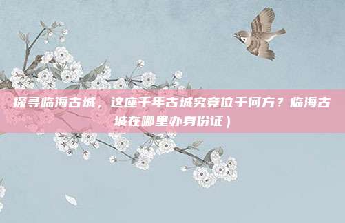 探寻临海古城，这座千年古城究竟位于何方？临海古城在哪里办身份证）