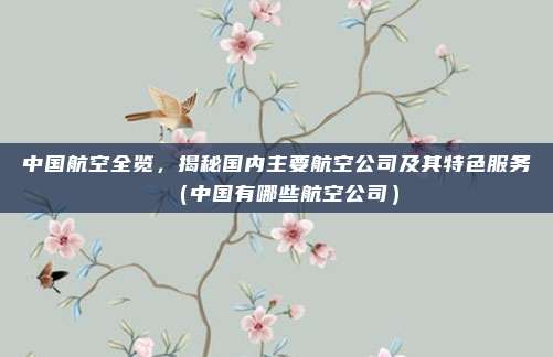 中国航空全览，揭秘国内主要航空公司及其特色服务（中国有哪些航空公司）