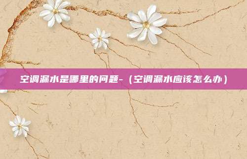 空调漏水是哪里的问题-（空调漏水应该怎么办）
