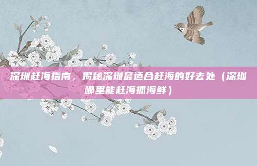 深圳赶海指南，揭秘深圳最适合赶海的好去处（深圳哪里能赶海抓海鲜）