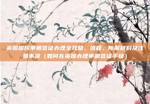 英国居民申根签证办理全攻略,流程、所需材料及注意事项(如何在英国办理申根签证手续)