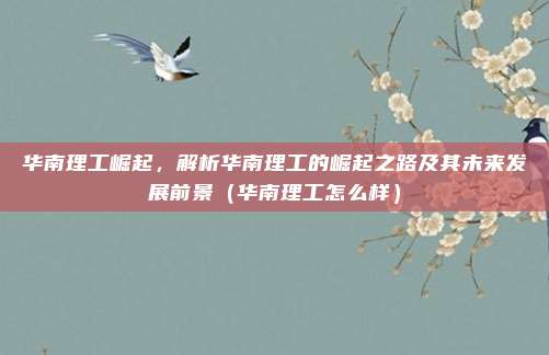 华南理工崛起,解析华南理工的崛起之路及其未来发展前景(华南理工怎么样)