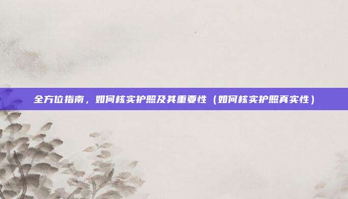 全方位指南，如何核实护照及其重要性（如何核实护照真实性）