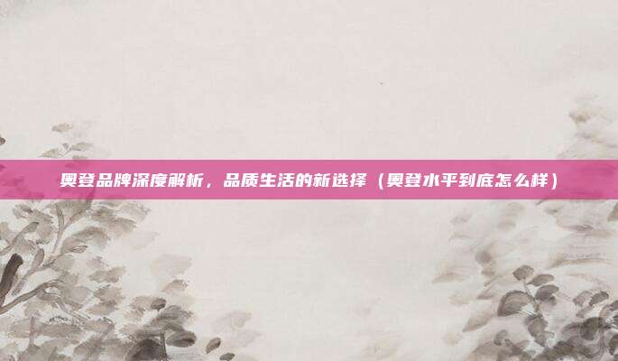 奥登品牌深度解析，品质生活的新选择（奥登水平到底怎么样）