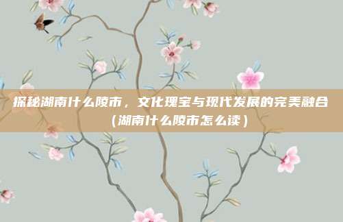 探秘湖南什么陵市，文化瑰宝与现代发展的完美融合（湖南什么陵市怎么读）