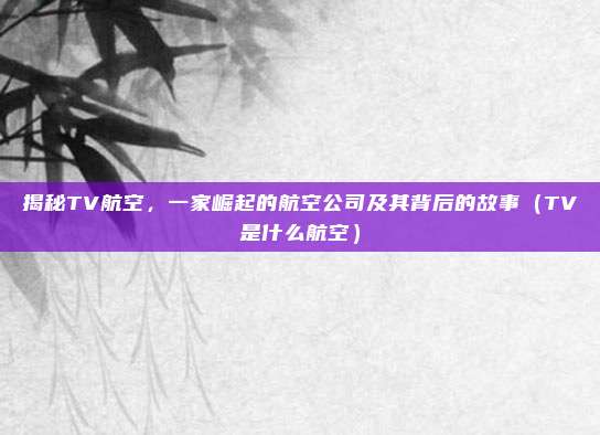 揭秘TV航空，一家崛起的航空公司及其背后的故事（TV是什么航空）