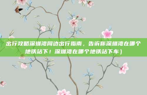 出行攻略深圳湾周边出行指南，告诉你深圳湾在哪个地铁站下！深圳湾在哪个地铁站下车）