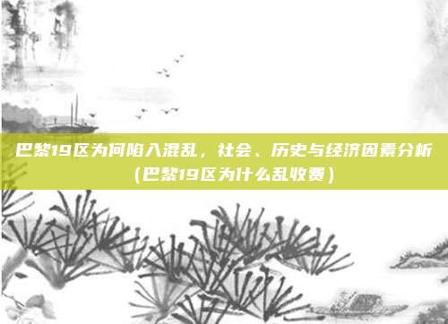 巴黎19区为何陷入混乱，社会、历史与经济因素分析（巴黎19区为什么乱收费）