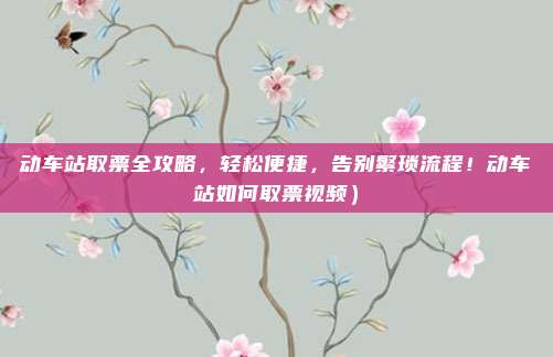 动车站取票全攻略，轻松便捷，告别繁琐流程！动车站如何取票视频）