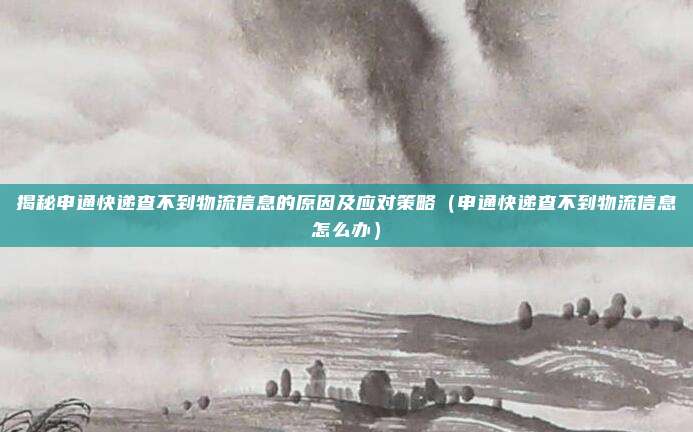 揭秘申通快递查不到物流信息的原因及应对策略（申通快递查不到物流信息怎么办）