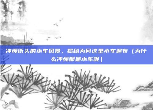 冲绳街头的小车风景，揭秘为何这里小车遍布（为什么冲绳都是小车呢）